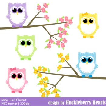 Baby Owl Clipart